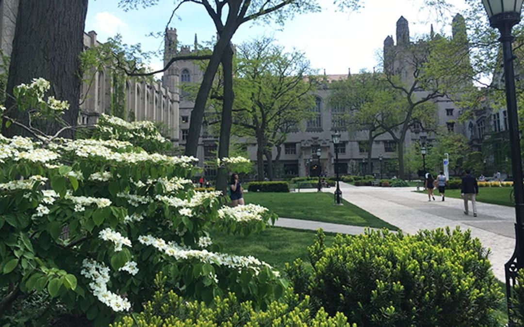 The University of Chicago honored with 2022 Tree Campus Higher Education recognition by the Arbor Day Foundation