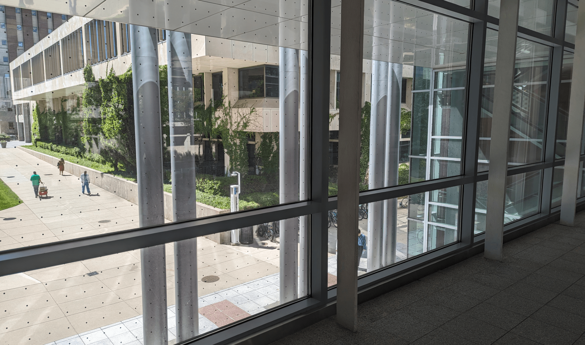 The aerial hallway of Gordon Center for Integrated Sciences shows decals on glass to prevent bird strikes.
